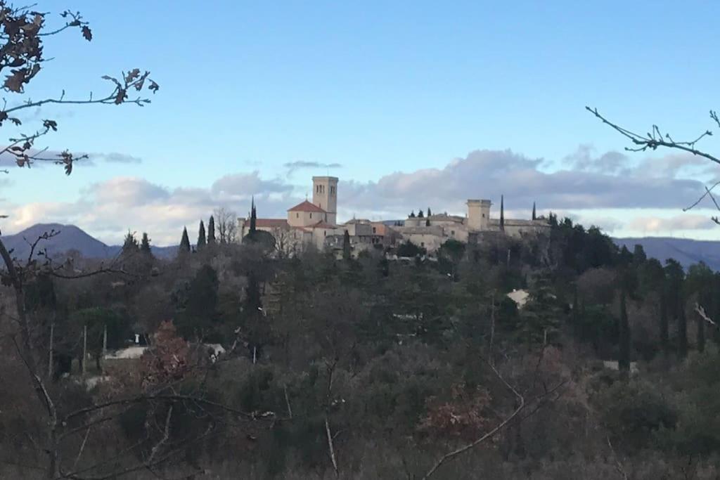 un château au sommet d'une colline plantée d'arbres dans l'établissement Maison avec piscine au calme, à Puygiron