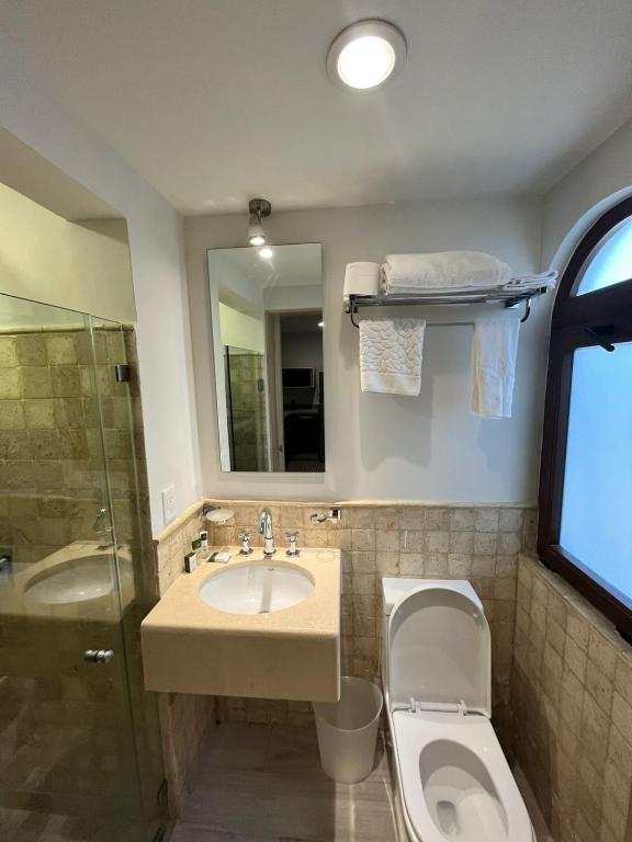 Suites Casa Mateo San Miguel Allende - Appartement 2 Chambres