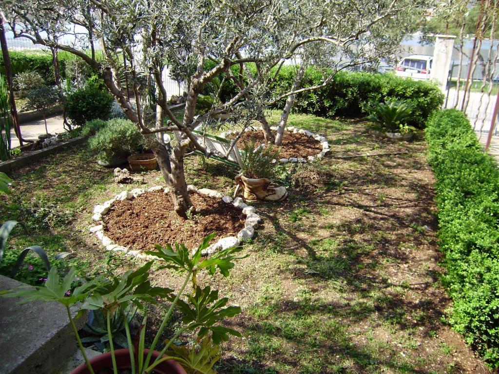 Apartments Kapetanovi Dvori - 14