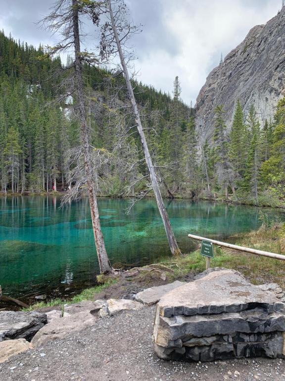 Inviting Rocky Mountain HOT TUB in Top Rated Condo managed by Little Sister Getaways - Resim 27