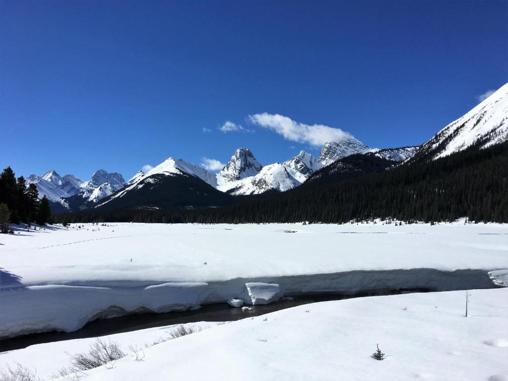 Inviting Rocky Mountain HOT TUB in Top Rated Condo managed by Little Sister Getaways - Resim 32