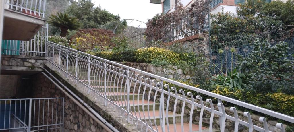 Mynd úr myndasafni af OASI FELICE í Levanto
