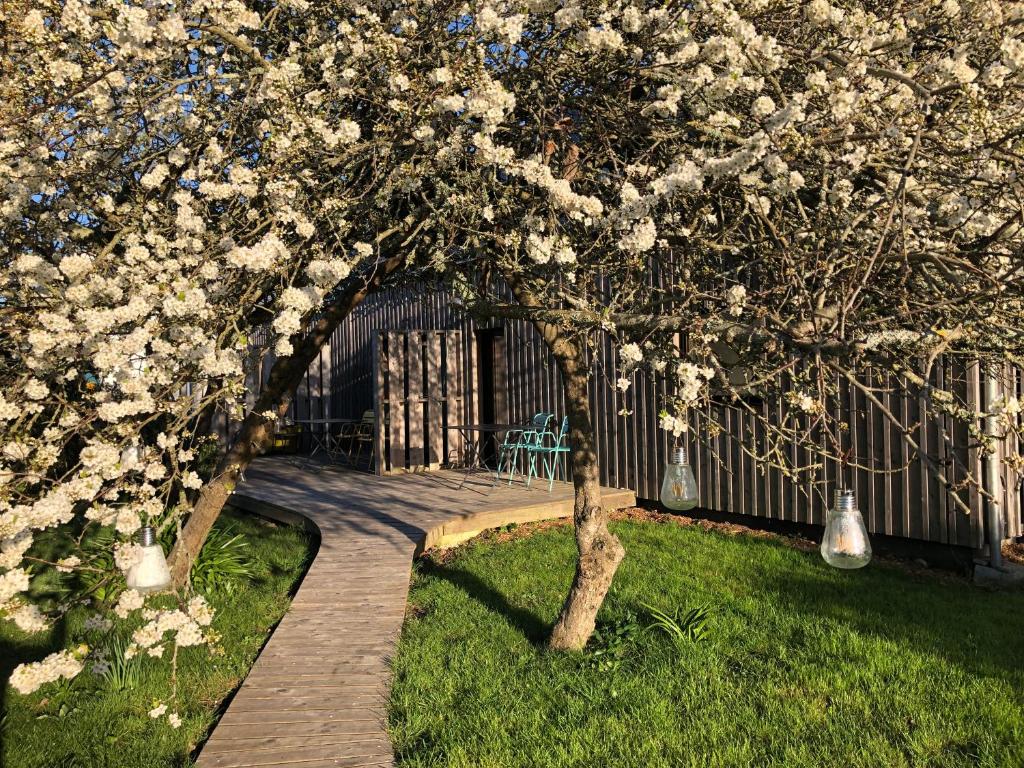 a flowering tree in a yard with a wooden walkway at Les Chambres d&#39;Hôtes de Bordustard in Le Palais