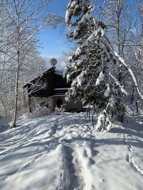 Mountain Family Chalet on Prahova Valley - 