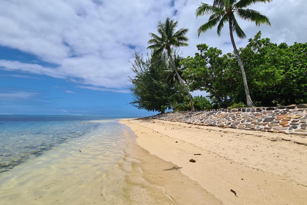 a beach with two palm trees and the ocean at Cottage Miti Reva in Haapiti