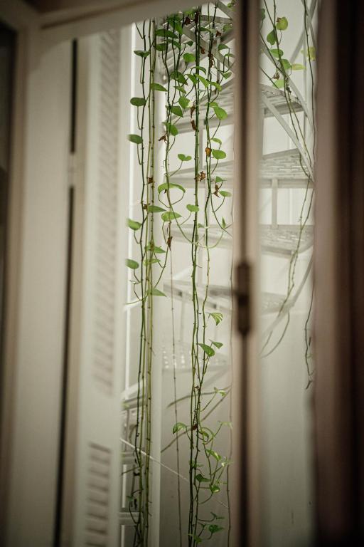 The Zillers Boutique Hotel - Resim 39