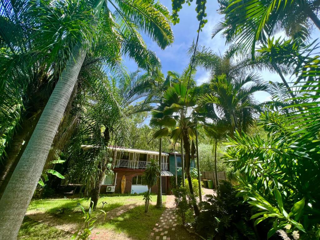 una casa in mezzo alle palme di Jikinerita Homestay a Nelly Bay