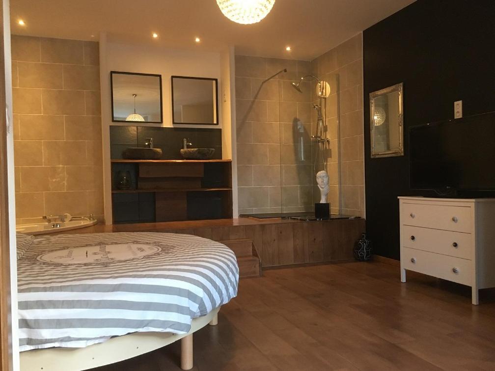 sypialnia z prysznicem, łóżkiem i telewizorem w obiekcie Chambre paisible avec vue sur la montagne w mieście Conliège