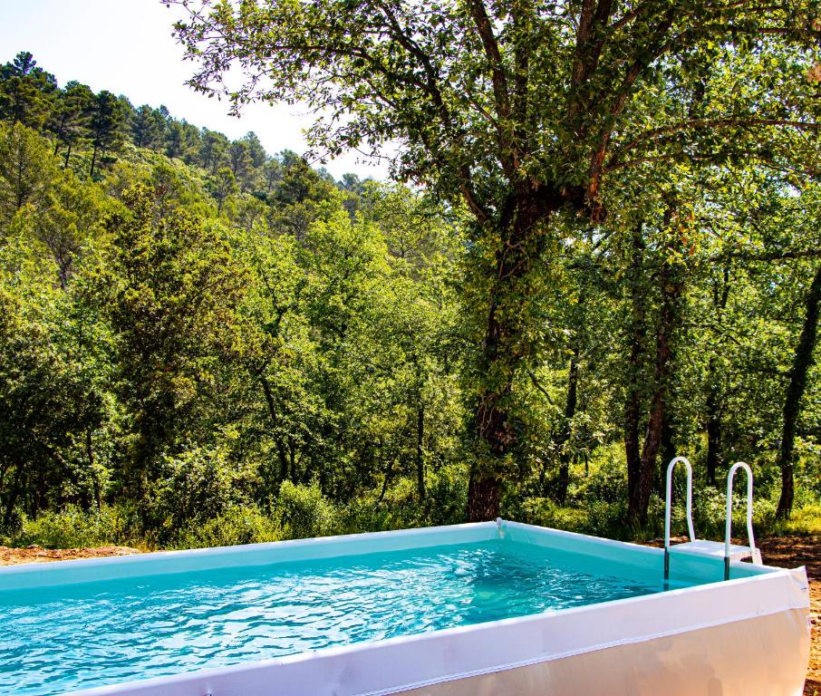 ein Schwimmbad mit einem Baum im Hintergrund in der Unterkunft Villa Cinsault, un bijou pour votre séjour en Provence Verte in La Celle