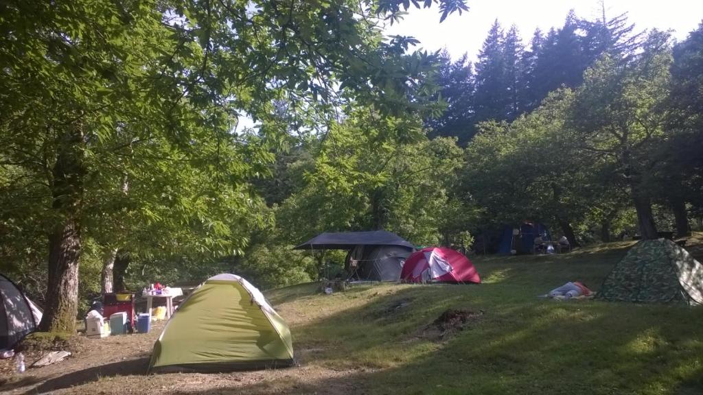 Fotografie z fotogalerie ubytování Camping Camaldoli v destinaci Camaldoli