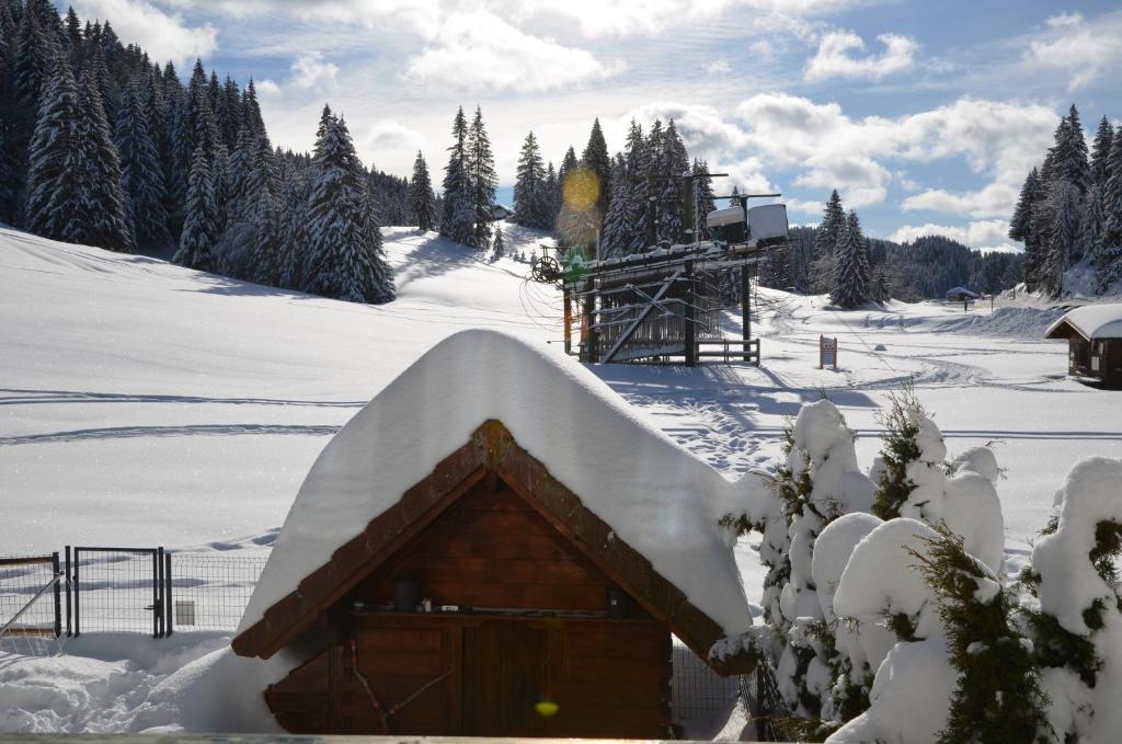 普雷芒翁的住宿－Le Repaire du Loup blanc，雪地中小屋的雪盖屋顶