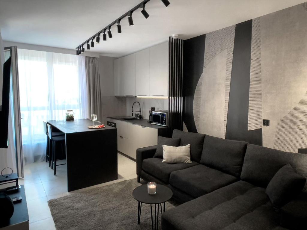 カトヴィツェにあるURBAN APARTMENTS PREMIUM DOWNTOWN Opolska 10 No 89 with GARAGEのリビングルーム(ソファ付)、キッチン