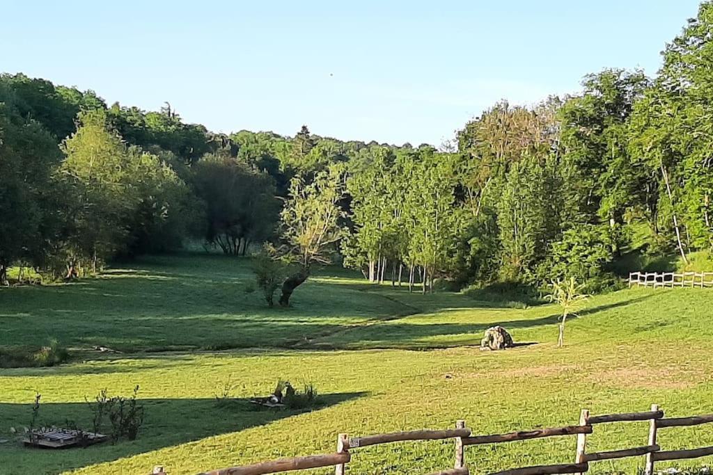 Les saules de Queyssac
