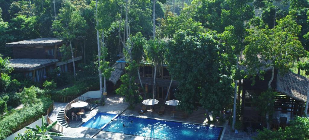 an aerial view of a swimming pool in a garden at De Foret in Havelock Island