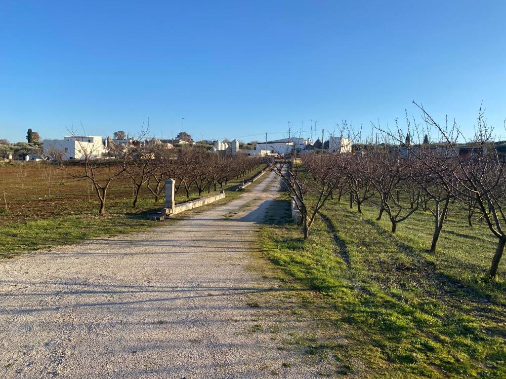 Trullo della Selva - 3