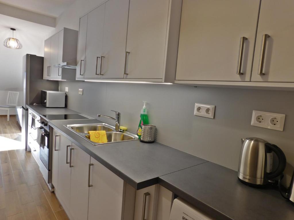 A kitchen or kitchenette at Berki Apartman