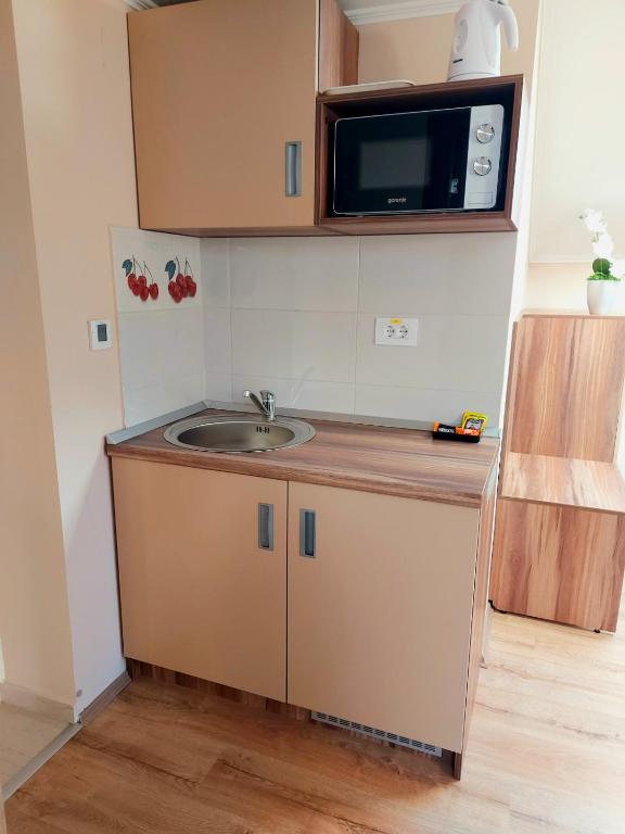 Kuchyň nebo kuchyňský kout v ubytování Papuli rooms 4U