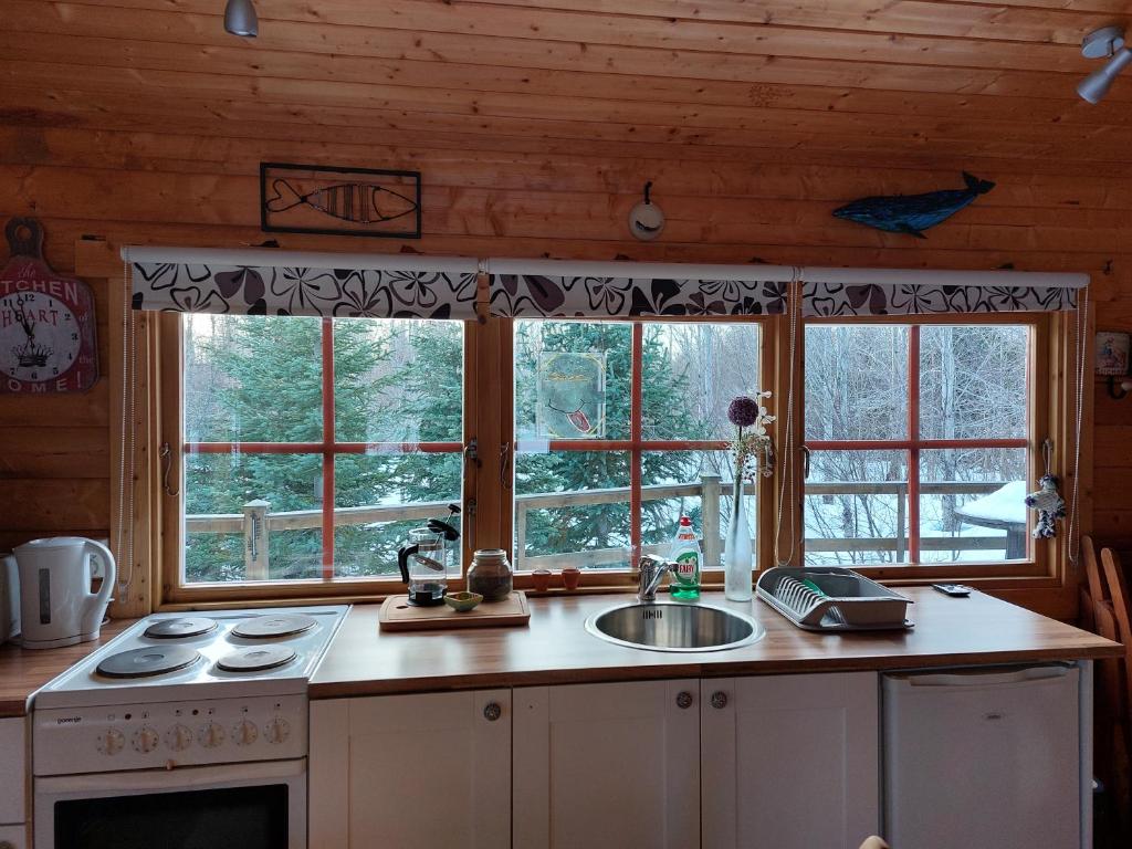 Kuchyň nebo kuchyňský kout v ubytování Bakkakot 1 - Cozy Cabins in the Woods