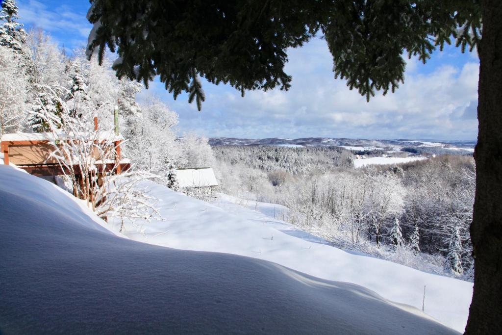 a snow covered yard with trees and a house at Komfortowy Dom w Chmurach in Dydnia
