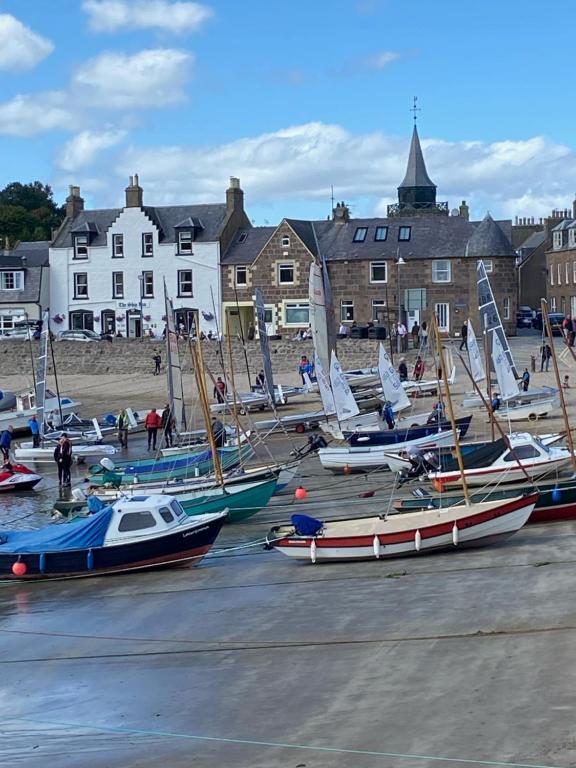 a bunch of boats are lined up on the beach at ARDUTHIE STREET in Stonehaven