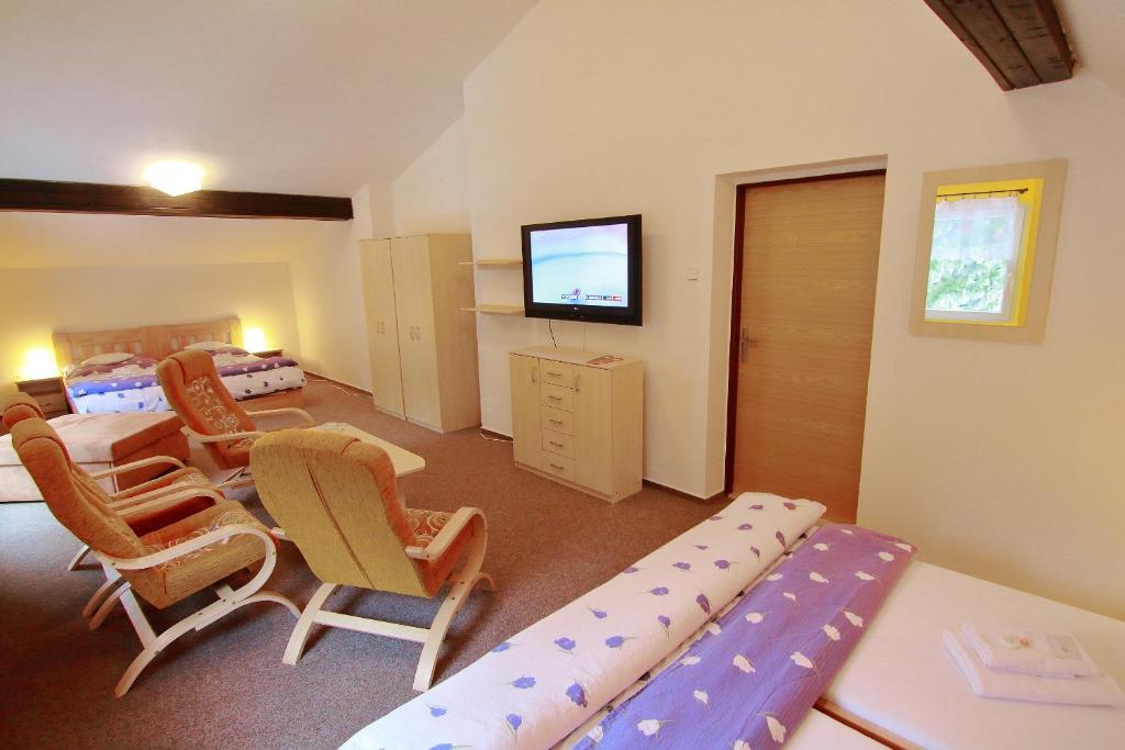 TV a/nebo společenská místnost v ubytování Hotel Andromeda