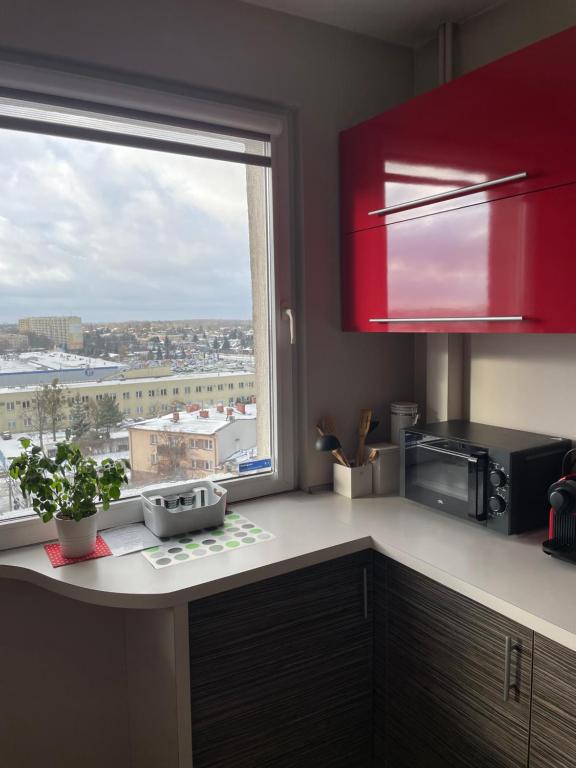 Kuchyň nebo kuchyňský kout v ubytování AS Apartment Lodz