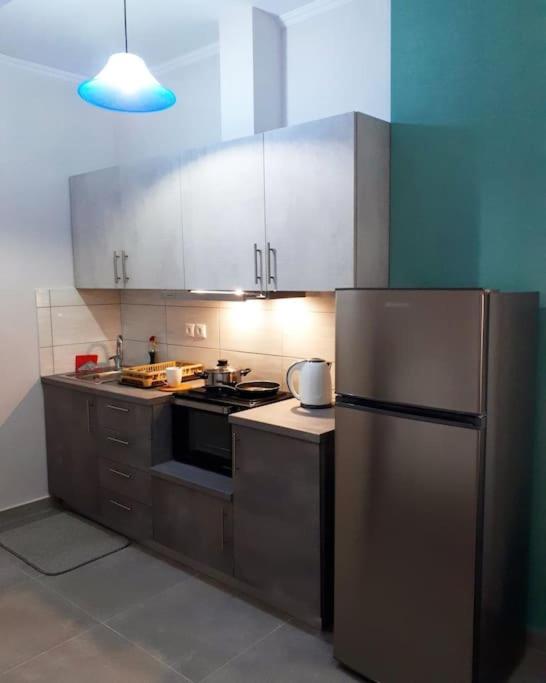 kuchnia z urządzeniami ze stali nierdzewnej i lodówką w obiekcie Blue Studio Nidri w mieście Nydri