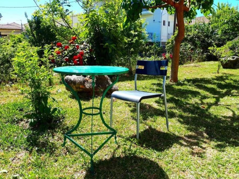 Ogród w obiekcie Blue Studio Nidri