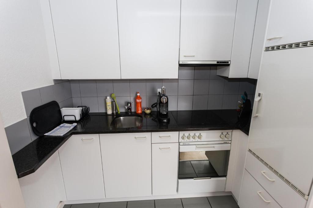 Luxury Apartments Justingerweg Bern - Resim 19