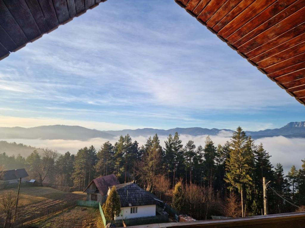 a view from a window of a house in the mountains at Pensiunea Ioana in Rugineşti