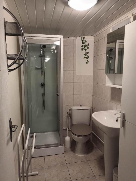 a bathroom with a shower and a toilet and a sink at Gîte Linglet in Fumay