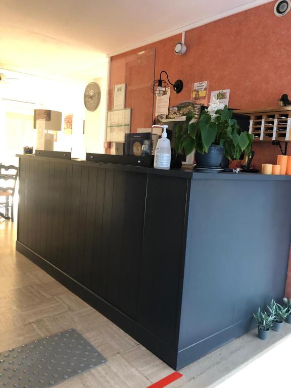 a black counter with plants on top of it at Hôtel Le Relais in Fleurance