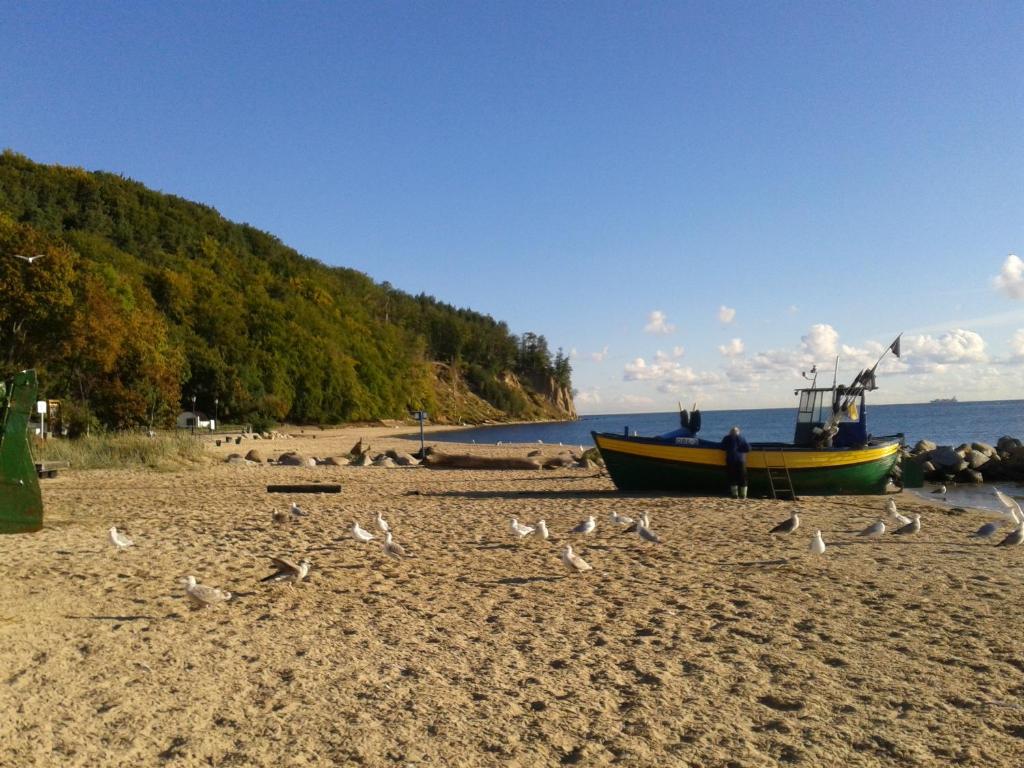 Un barco sentado en una playa con pájaros. en Dom Gościnny Raido, en Gdynia