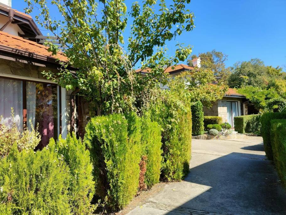 a house with green hedges next to a street at Bay View Villas/Rada in Kosharitsa