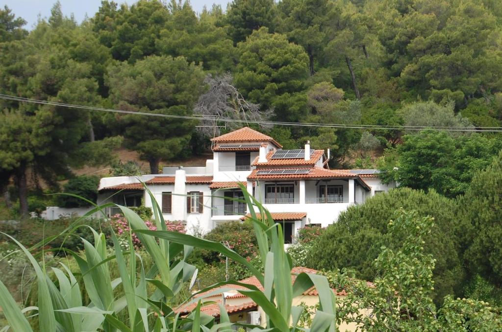 une maison blanche au milieu d'une forêt dans l'établissement Pine home, à Skiathos Chora