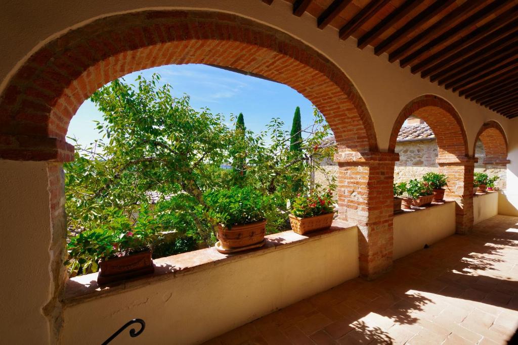 A garden outside Arco al Poggio - Arceno Rentals Club