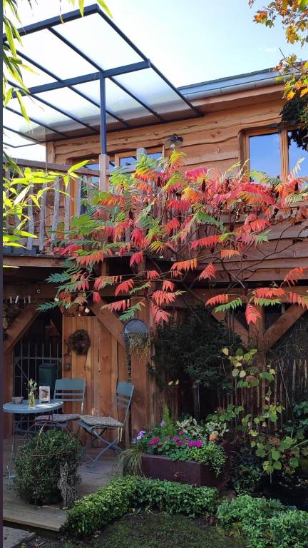 Vonkajšia záhrada v ubytovaní La cabane du bon chemin ,spa