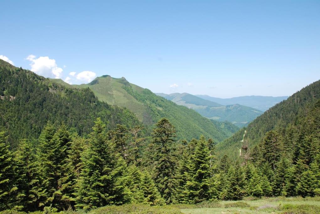 Príroda v okolí dovolenkového domu