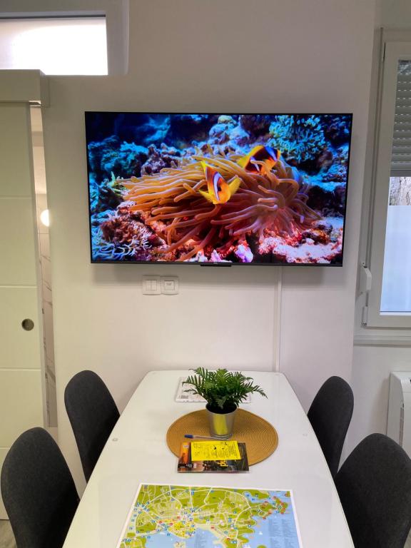 Apartment Studio Beauty in Centar - 1