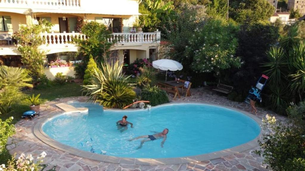 dwoje ludzi pływających w basenie w domu w obiekcie Petit coin de paradis, vue panoramique mer &montagne, piscine privée... w mieście Calcatoggio