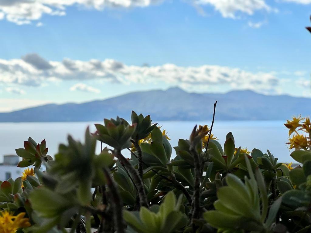 Flower Residence sea view - Image 1