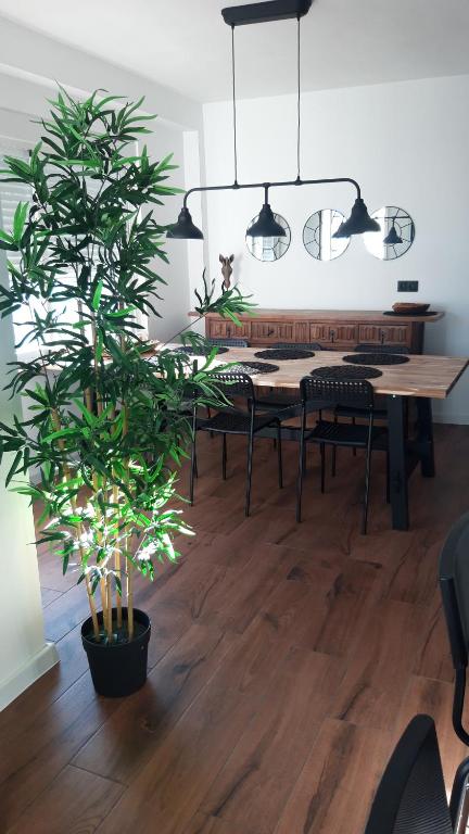 a dining room with a table and a potted plant at Apartamento Aguilera in Gandía