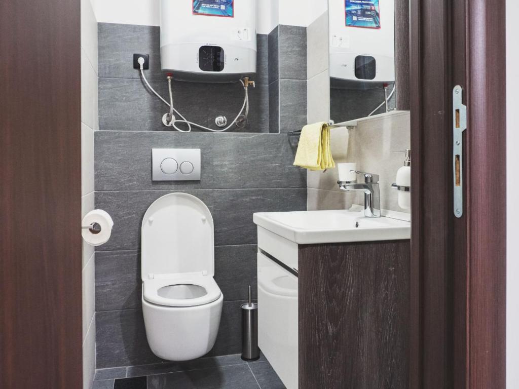 a small bathroom with a toilet and a sink at Vila Nadežda Divčibare in Divčibare