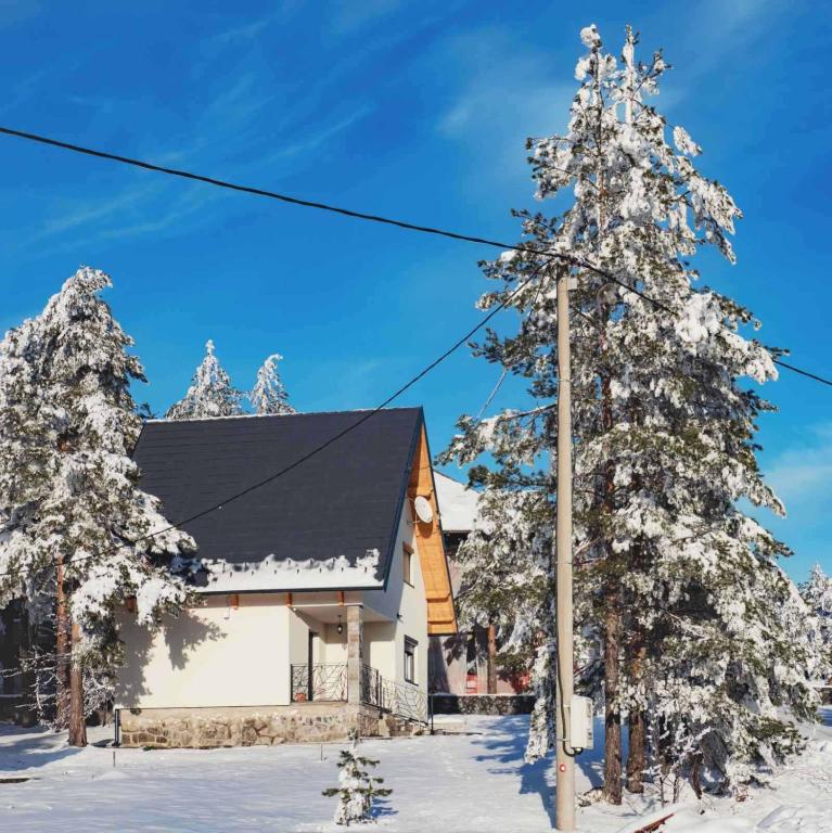 Vila Nadežda Divčibare during the winter