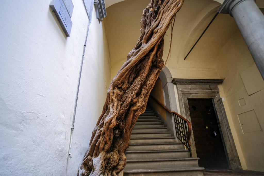Kép Fiorenza Boutique Apartment szállásáról Firenzében a galériában