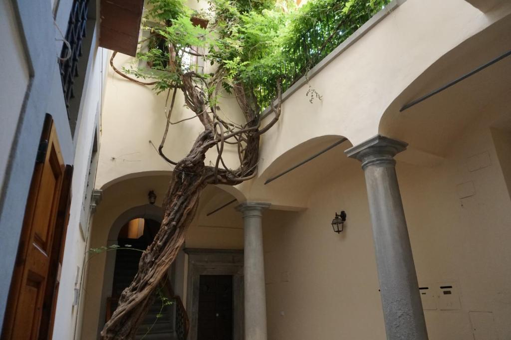 Kép Fiorenza Boutique Apartment szállásáról Firenzében a galériában
