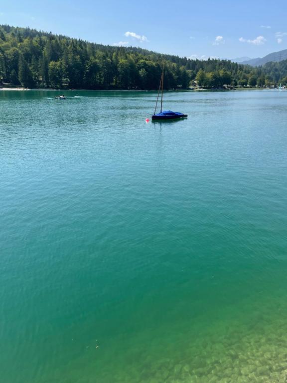 a sail boat in the middle of a large lake at Ferienwohnung am Walchensee in Walchensee