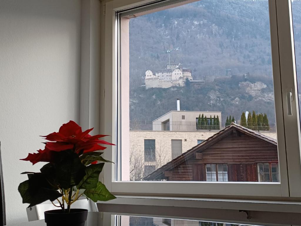 a window with a flower in a vase next to a building at Castle View Big Appartment Vaduz Center in Vaduz