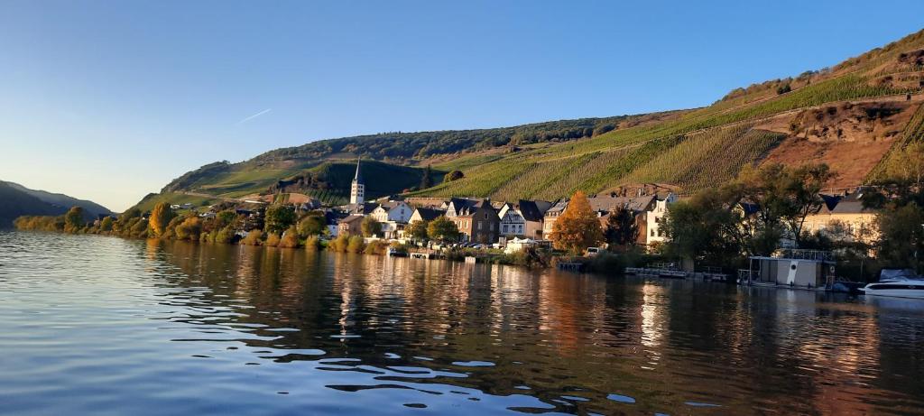 a town on the river with a hill in the background at Apartment In Spay Smile Zell-Merl Mosel in Zell an der Mosel