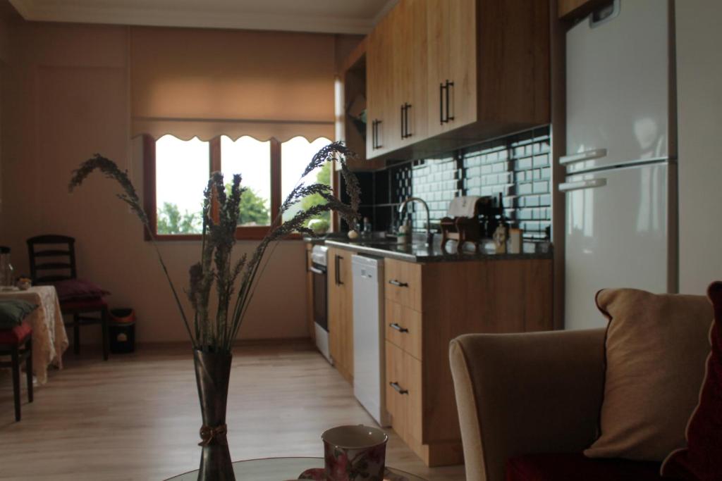 Kuchyň nebo kuchyňský kout v ubytování AKDAĞ KEMER OTEL